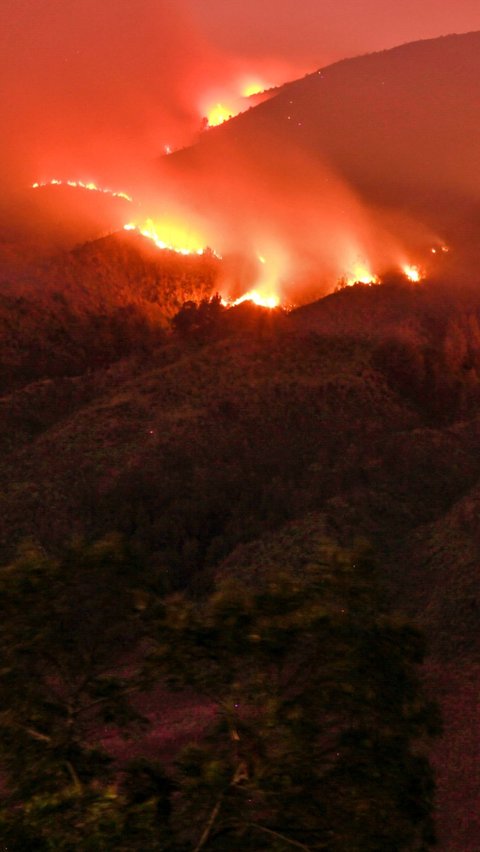 Selain kemarau, salah satu yang menjadi penyebab kebakaran hutan dan lahan (karhutla) di kawasan Gunung Bromo ini diduga akibat ulah pengunjung.