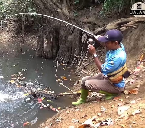 Seorang pria dililit ular piton sepanjang 4 meter saat tengah asik memancing di tengah-tengah hutan Kalimantan Selatan. Momen menegangkan itu pertama kali diunggah oleh akun YouTube Si Jalang, pada Rabu (30/8). 