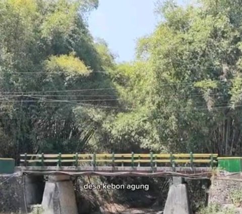 Bikin Geger, Pemuda Rembang Temukan Buaya di Sungai yang Mengering