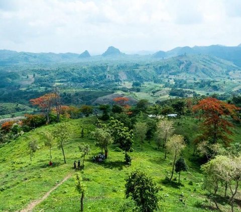 Atas Angin adalah sebutan untuk kawasan perbukitan di Desa Deling, Kecamatan Sekar, Kabupaten Bojonegoro. Lokasi ini menyuguhkan bentangan alam yang indah dan udara sejuk.