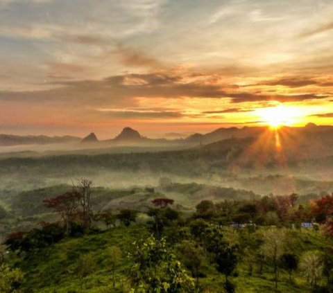 Dulu Jadi Tempat Temu Pasangan Kekasih dari Kerajaan Mataram dan Pajang, Begini Eksotisnya Negeri Atas Angin Bojonegoro