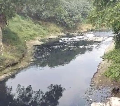 Air Sungai Cileungsi Menghitam dan Berbau Busuk, Ratusan Ikan Mati