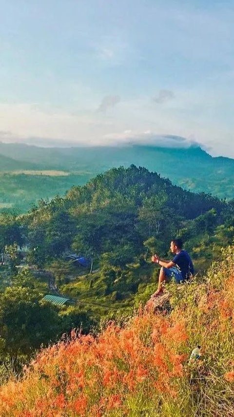 Dulu Jadi Tempat Temu Pasangan Kekasih dari Kerajaan Mataram dan Pajang, Begini Eksotisnya Negeri Atas Angin Bojonegoro