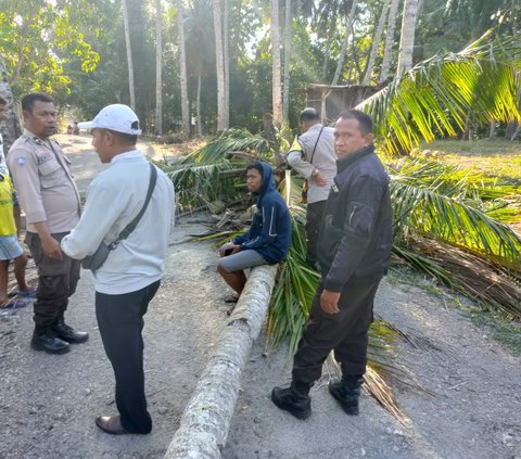 Seorang siswa SMA di Kecamatan Amarasi, Kabupaten Kupang, Nusa Tenggara Timur (NTT) tewas tertimpa pohon kelapa. Peristiwa ini terjadi pada Senin(11/9) kemarin di depan rumah warga lainnya.<br>
