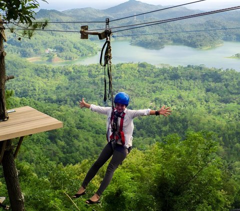 Main Flying Fox While Recording Surrounding Views, This Man Fails Aesthetic, Face Becomes Radiantly White: 'What's his deed?'