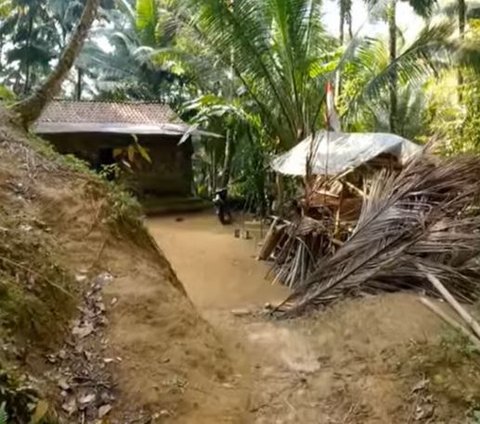 Jauh dari Keramaian, Ini Kisah Satu Keluarga Tinggal di Tengah Hutan Kebumen Selama 30 Tahun