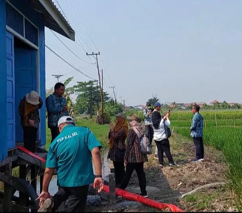 Program Irigasi Perpompaan Selamatkan 48 Ha Sawah di Kota Banjarmasin