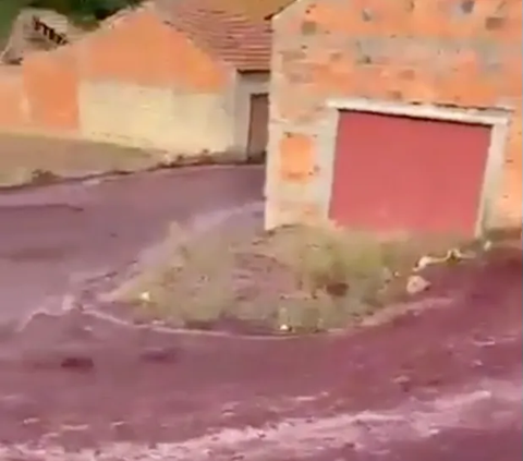 Desa Kecil di Kota Ini Banjir Anggur Merah, Ternyata Ini Gara-Garanya