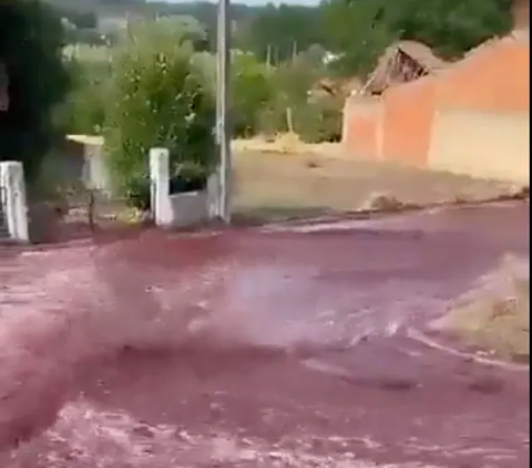 Desa Kecil di Kota Ini Banjir Anggur Merah, Ternyata Ini Gara-Garanya