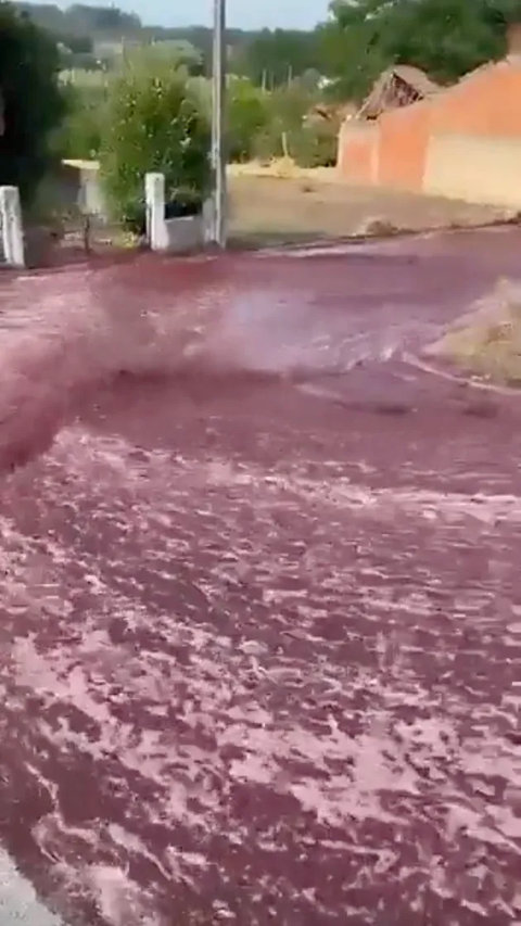 Desa Kecil di Kota Ini Banjir Anggur Merah, Ternyata Ini Gara-Garanya