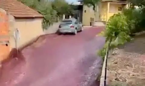 Desa Kecil di Kota Ini Banjir Anggur Merah, Ternyata Ini Gara-Garanya