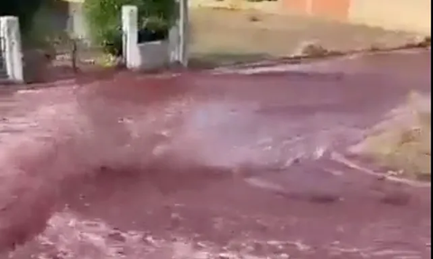 Desa Kecil di Kota Ini Banjir Anggur Merah, Ternyata Ini Gara-Garanya