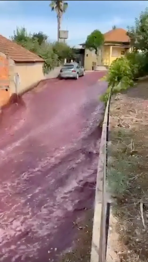 Desa Kecil di Kota Ini Banjir Anggur Merah, Ternyata Ini Gara-Garanya