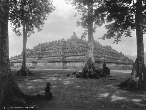 Potret Lawas Candi Borobudur Tahun 1912, Menjulang di Pinggir Sawah & Penuh Ilalang