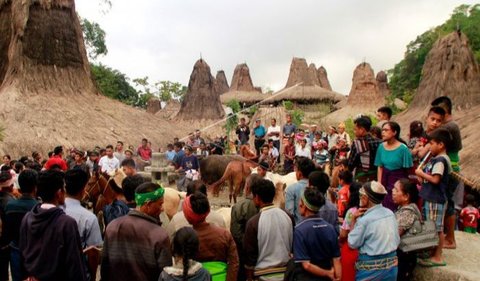 Melansir dari laman tripsumba, disebutkan jika kawin tangkap sebenarnya tidak bisa sembarangan dilakukan.