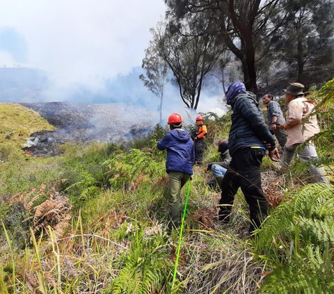 Kronologi Lengkap Kebakaran Bukit Teletubbies Gunung Bromo, Sebelum atau Setelah Foto Prewedding?