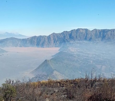 Kronologi Lengkap Kebakaran Bukit Teletubbies Gunung Bromo, Sebelum atau Setelah Foto Prewedding?