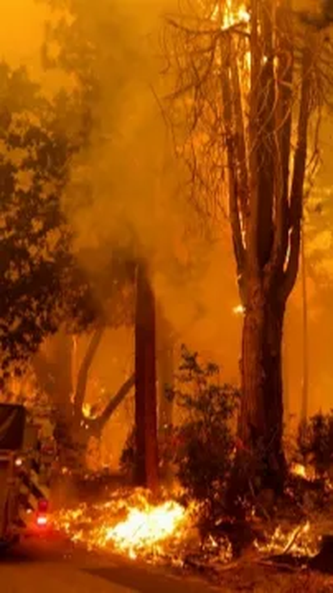 Saat Jenderal TNI Khawatir Kebakaran Hutan Bikin Martabat Bangsa Jatuh di Negara Tetangga<br>