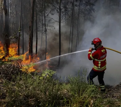 Saat Jenderal TNI Khawatir Kebakaran Hutan Bikin Martabat Bangsa Jatuh di Negara Tetangga