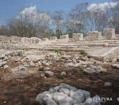 Dua Rumah Berusia 1500 Tahun Ditemukan di Tengah Hutan, Salah Satunya Seperti Istana Megah