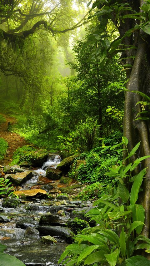 Banyak penjelajah yang nekat memasuki hutan ini telah ditembak mati tanpa ada kabar selanjutnya. Inilah alasan di balik banyaknya nyawa yang telah melayang dalam upaya mencari tahu lebih banyak tentang Paititi.