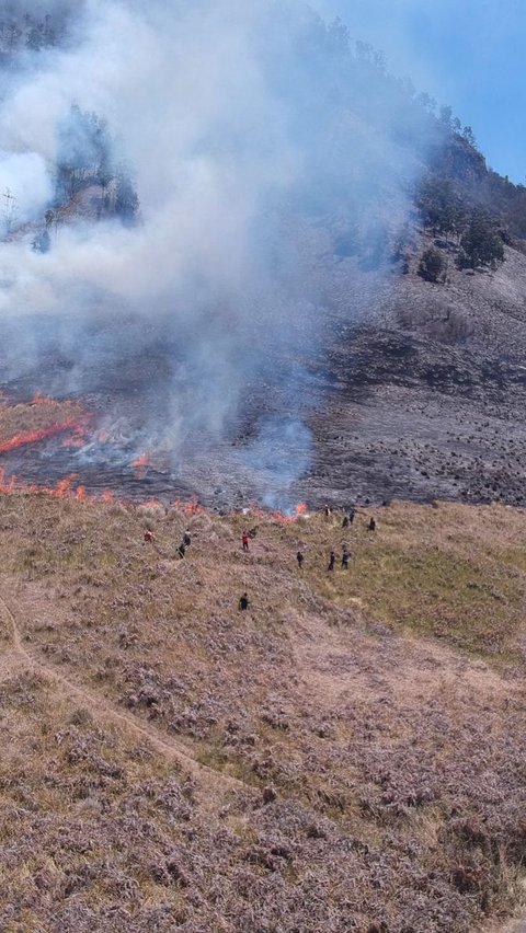 Kebakaran Kawasan Bromo Mulai Padam, Ini Beberapa Hal Bisa Picu Titik Api Muncul Kembali