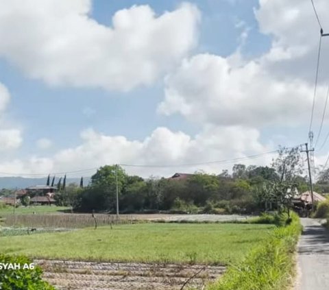 Potret Ashanty Survey Tanah di Bali, Bakal Jadi Sumber Cuan Baru Lagi?