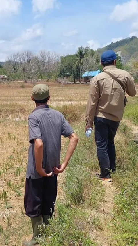 Irigasi Sumur Tanah Dalam  di Tanah Laut Dukung Gernas Penanganan Dampak El Nino Seluas 5732 ha