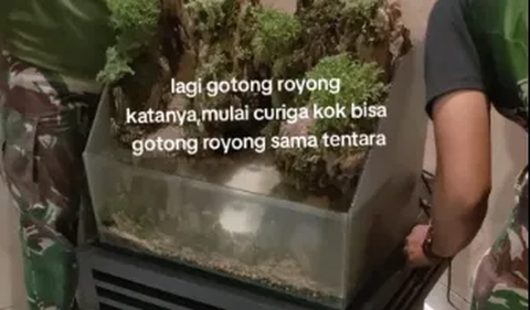 Namun, beberapa waktu kemudian sang wanita pun mulai menaruh curiga. Mulai dari aktivitas si pria yang dekat dengan para tentara hingga seragam loreng membuatnya kian penasaran.