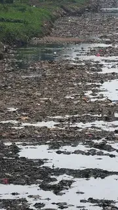 Dampak Kemarau Panjang, Warga Banyumas Buat Lubang di Dasar Sungai