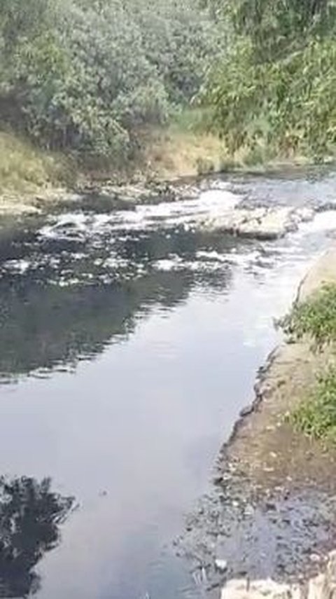 Sungai Cileungsi Menghitam, Bau sampai Ikan Mati, Bupati Bogor Diundang Susuri Aliran yang Tercemar