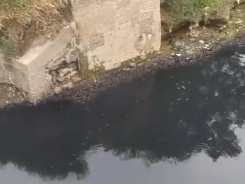 Sungai Cileungsi Menghitam, Bau sampai Ikan Mati, Bupati Bogor Diundang Susuri Aliran yang Tercemar