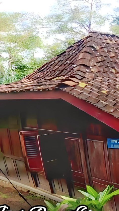 Unexpectedly, this Wooden House in the Middle of the Forest Turns Out to Belong to a National Hero, the Vibes are Totally Different!