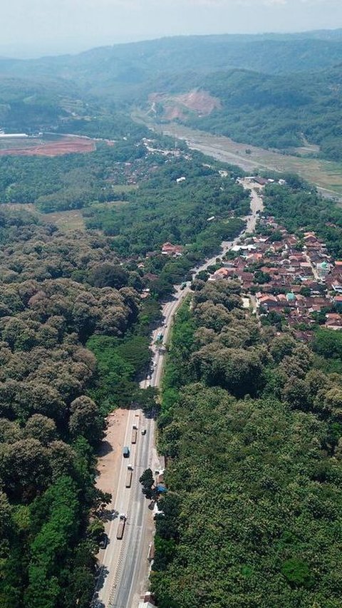 <b>Mengenal Alas Roban, Kawasan Hutan di Jawa Tengah yang Terkenal Angker</b>