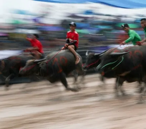 WN India Terlibat Penipuan Jual Beli Daging Kerbau, Kerugian Capai Rp15 Miliar