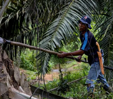 Gandeng Perusahaan Malaysia, PTPN VI Olah Limbah Cair Sawit Jadi Compressed Biomethane Gas