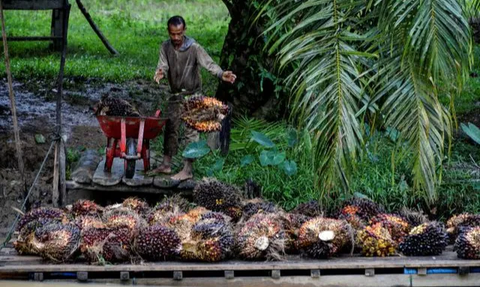 Gandeng Perusahaan Malaysia, PTPN VI Olah Limbah Cair Sawit Jadi Compressed Biomethane Gas