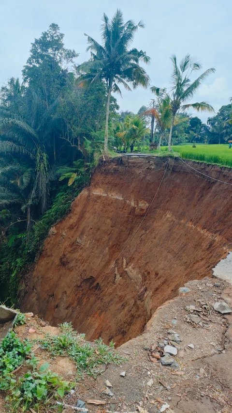 Penampakan Jalan di Kawasan Wisata di Tegallalang- Tampaksiring Bali Amblas 50 Meter, Ini Penyebabnya<br>