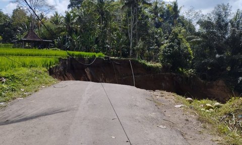 Penampakan Jalan di Kawasan Wisata di Tegallalang- Tampaksiring Bali Amblas 50 Meter, Ini Penyebabnya