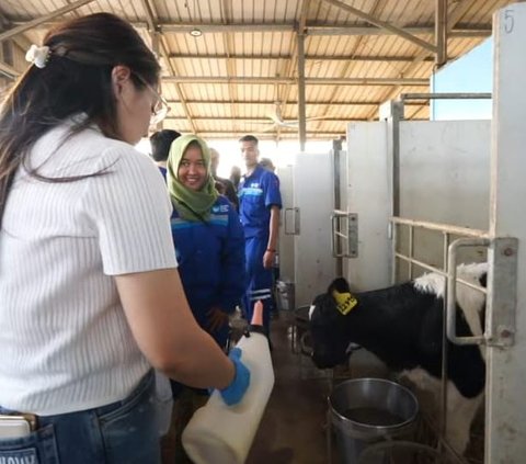 Momen Nagita Slavina & Rayyanza Beri Susu ke Sapi di Peternakan, Menggemaskan Banget