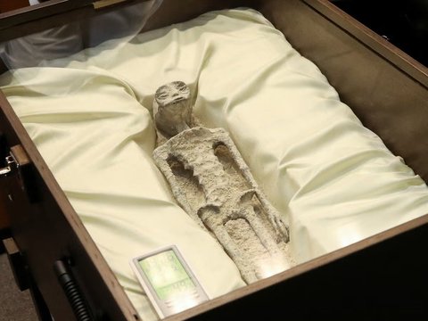 Alien Corpse with Three Fingers and Over 1,800 Years Old First Displayed to the Public, Here's the Appearance