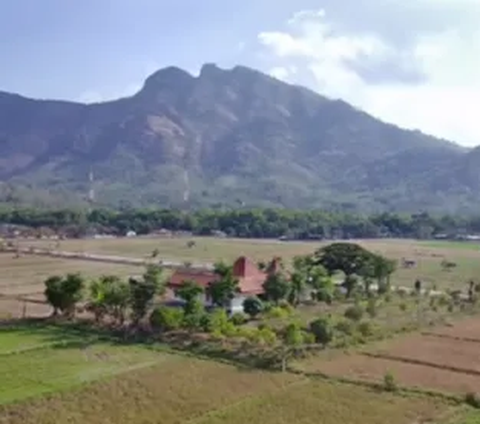 Megahnya Rumah Milik Bupati Wonogiri, Lokasinya Ada di Tengah-tengah Hamparan Sawah Luas