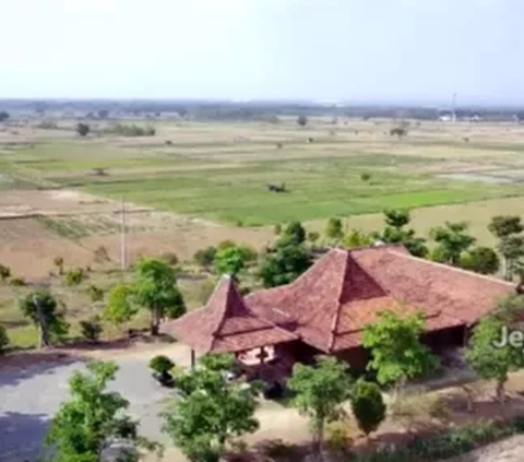 Megahnya Rumah Milik Bupati Wonogiri, Lokasinya Ada di Tengah-tengah Hamparan Sawah Luas