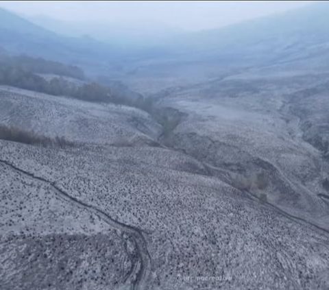 Miris! Begini Penampakan Terkini Savana Bromo dari Kamera Drone Usai Kebakaran Hebat