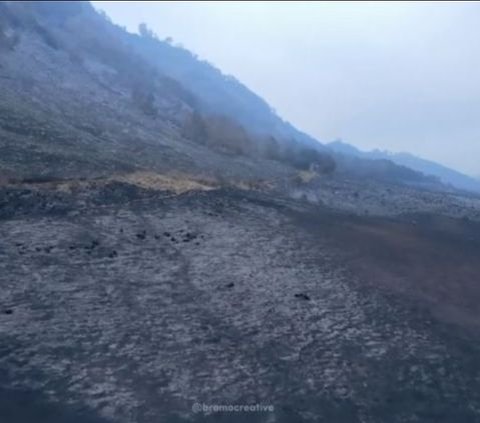 Miris! Begini Penampakan Terkini Savana Bromo dari Kamera Drone Usai Kebakaran Hebat