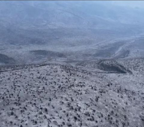 Miris! Begini Penampakan Terkini Savana Bromo dari Kamera Drone Usai Kebakaran Hebat