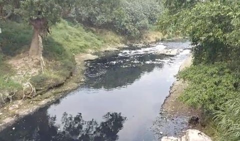 Meski mengetahui pencemaran Sungai Cileungsi disebabkan limbah pabrik, Iwan enggan gegabah menutup operasional pabrik begitu saja<br>