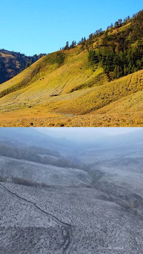 Miris! Begini Penampakan Terkini Savana Bromo dari Kamera Drone Usai Kebakaran Hebat