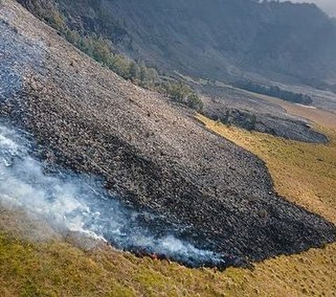 Rain Falls, Fire in Mount Bromo Area Extinguished After a Week of Burning