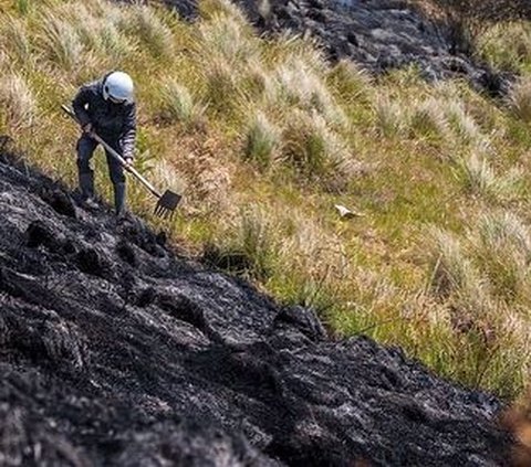 Rain Falls, Fire in Mount Bromo Area Extinguished After a Week of Burning